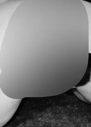 Anal gefickt von meiner Fick-Maschine