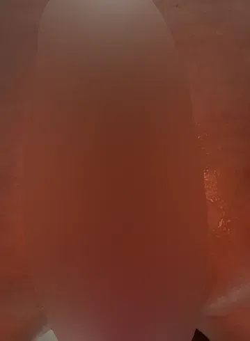 Versaute Gym-Queen fickt sich dominant durch – Muschi & Arsch abwechselnd benutzt, bis ich komme