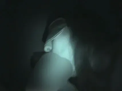 im dunkeln geblasen und in den Arsch gef... (ohne Ton)