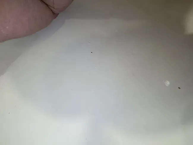 Anale Masturbation mit Milch