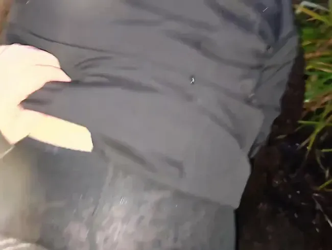 Beim Spaziergang einfach genommen und dann im Auto weiter in den Arsch gefickt, bis ich