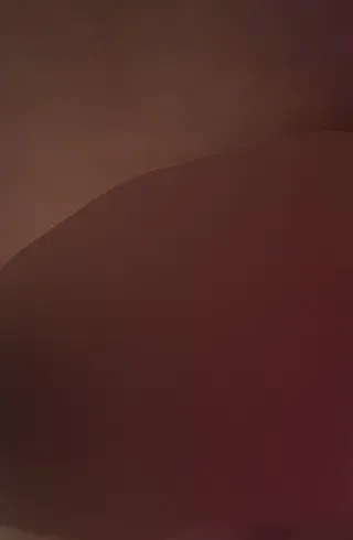 30cm Analplug inside