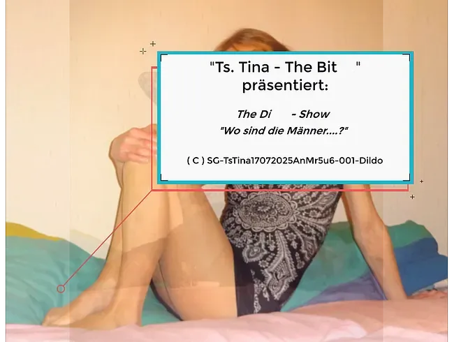 Ts Tina - The Bitch präsentiert: "The Dildo - Show"