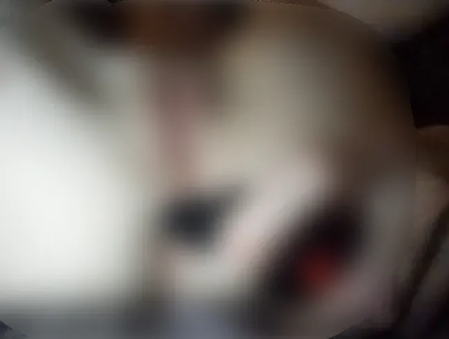 Mein neues Spielzeug kam endlich