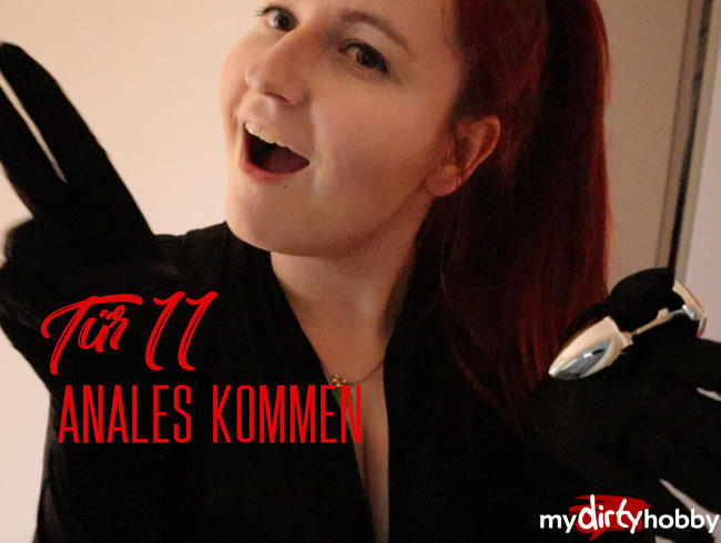 Tür 11: Anales Kommen