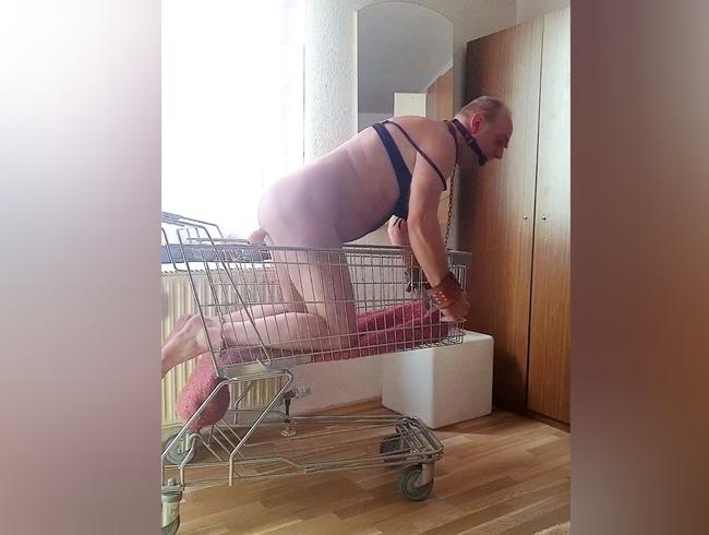 Im Einkaufswagen gefesselt